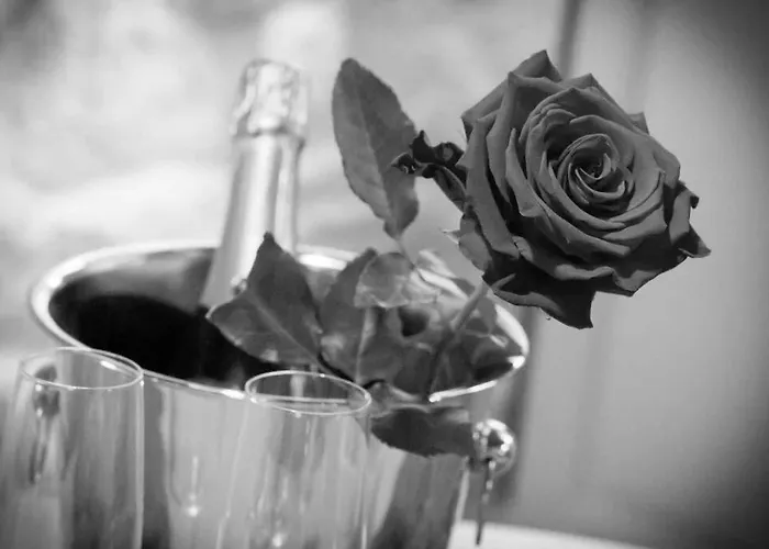 Dream - Le Romantique * Ger (Manche)