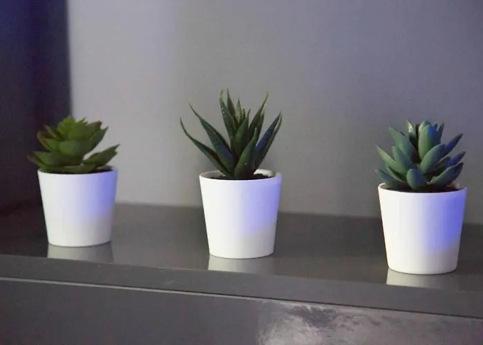 Casa de Férias Dream - Le Romantique